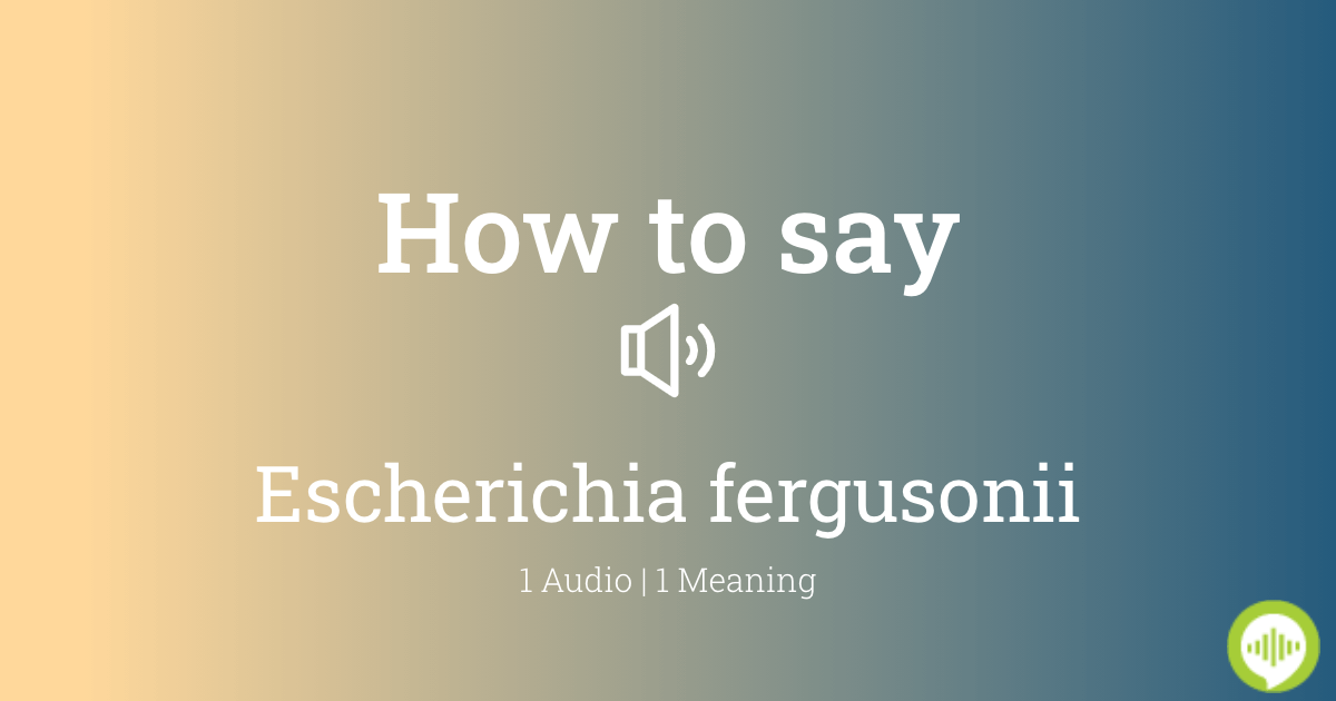 How To Pronounce Escherichia Fergusonii HowToPronounce