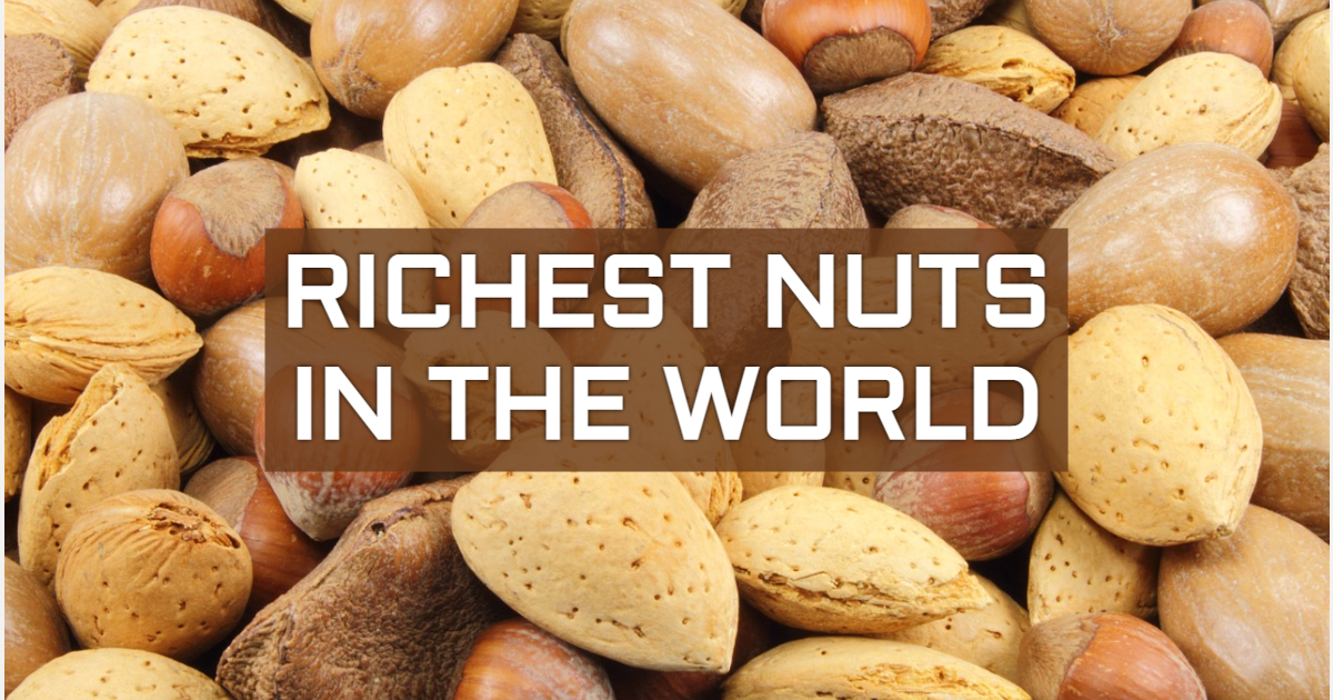 Richest Nuts in the World Richest Nuts in the World