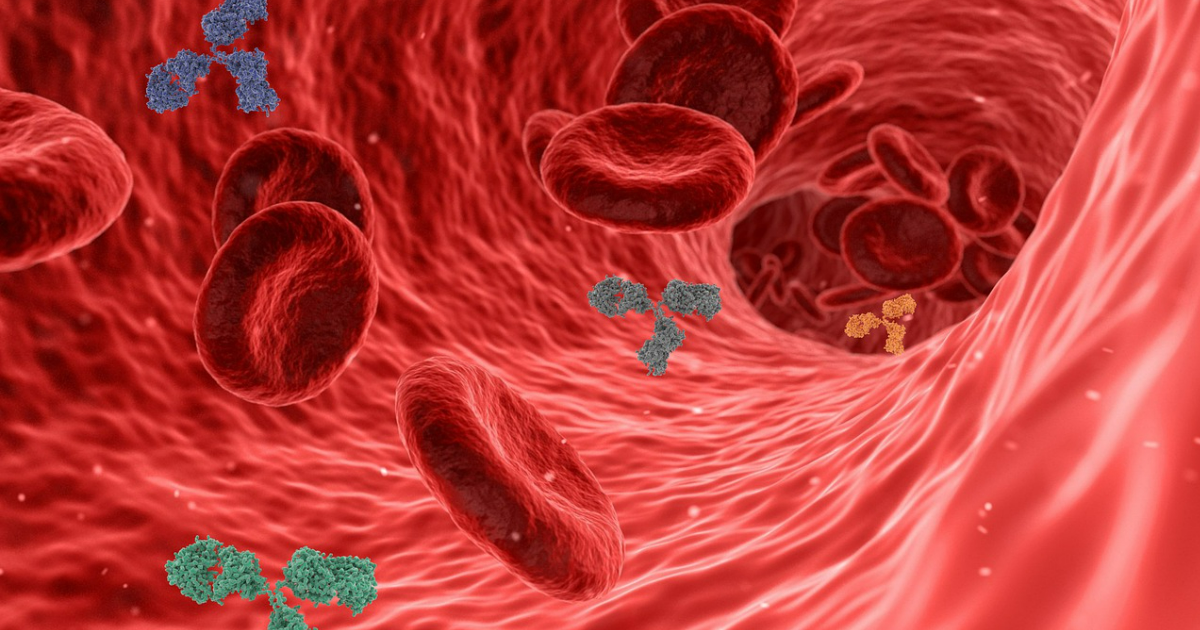 World's Most Deadliest Bacterial Diseases World's Most Deadliest Bacterial Diseases