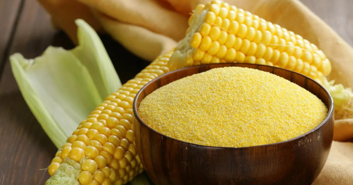 Best Varieties Of Sweet Corn Best Varieties Of Sweet Corn