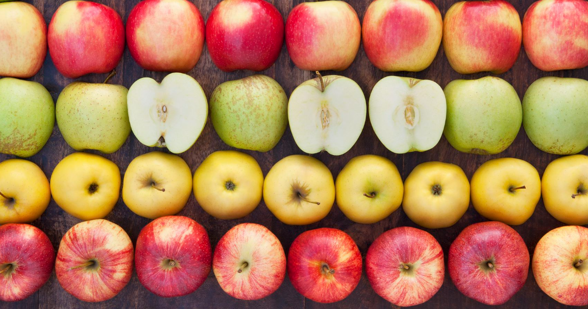 Different Types of Apples You Have to Try Different Types of Apples You Have to Try