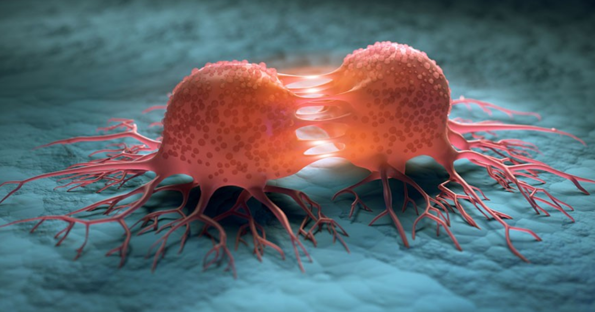 Sneak Through The Untold Sorts of Cancer Sneak Through The Untold Sorts of Cancer