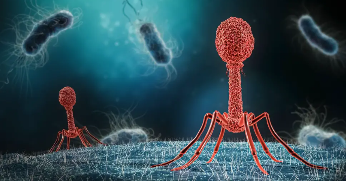 Discover The Vast Range Of Viruses Everywhere Discover The Vast Range Of Viruses Everywhere