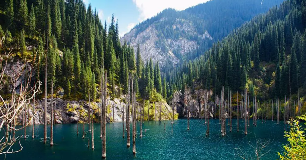 Gaze At These Splendid Rain forests Around Globe Gaze At These Splendid Rain forests Around Globe