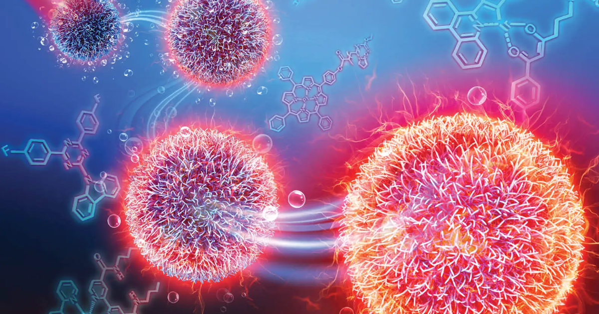 A Diverse Range of Biomaterials A Diverse Range of Biomaterials