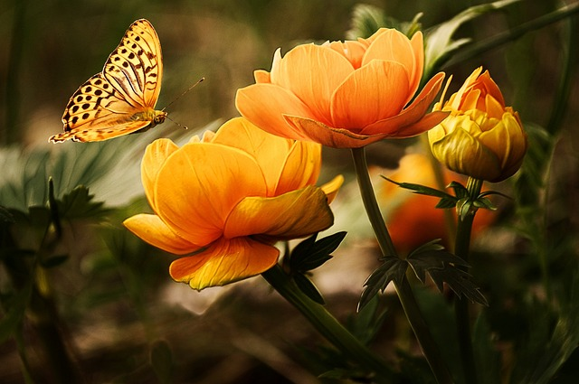 A Pleasant view of Beautiful Flowers. A Pleasant view of Beautiful Flowers.