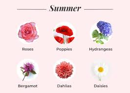 Summer Seasonal Flowers Summer Seasonal Flowers