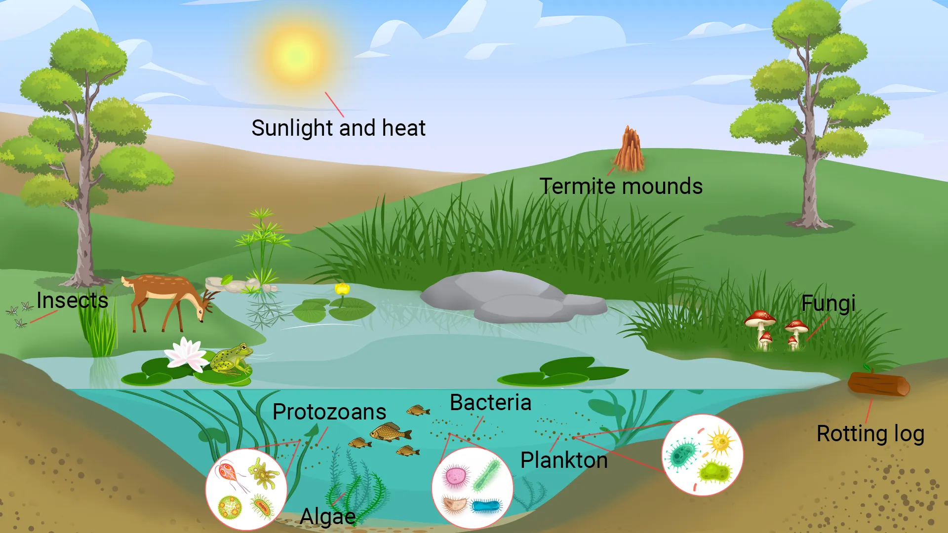 List of Ecosystems List of Ecosystems