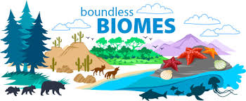 List of biomes