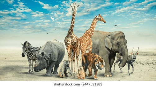 List of endangered species