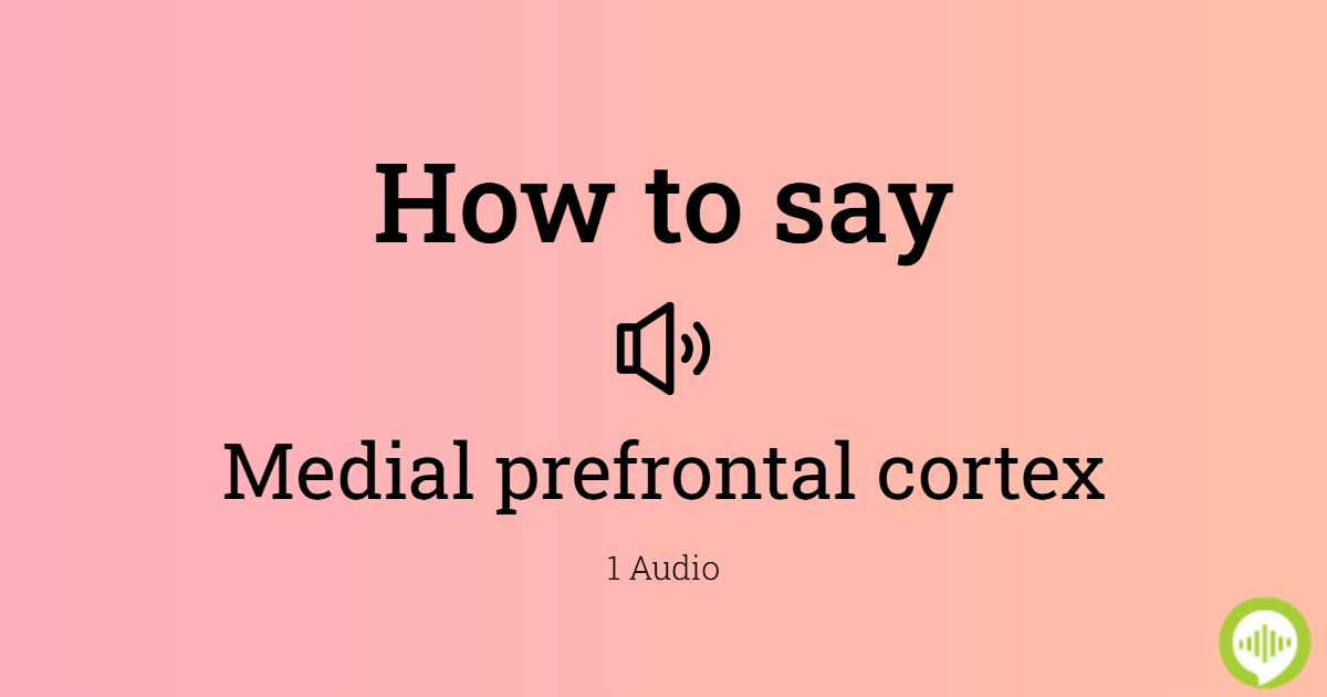 how-to-pronounce-medial-prefrontal-cortex-howtopronounce