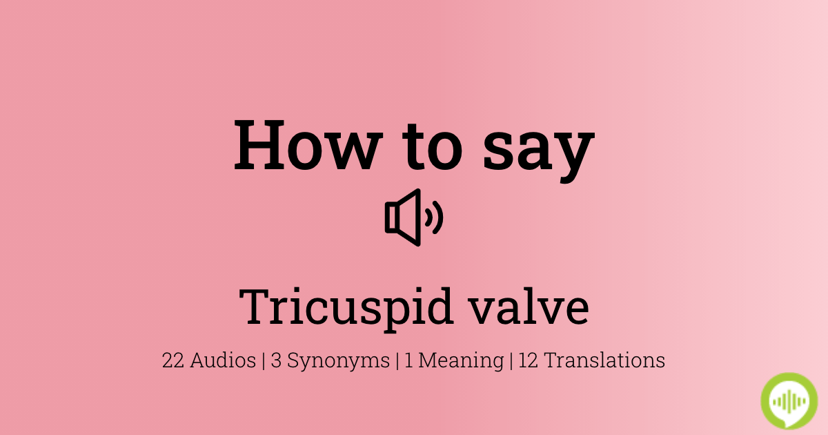 How to pronounce tricuspid valve