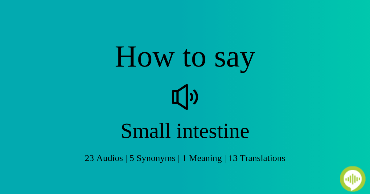 How To Pronounce Small Intestine HowToPronounce