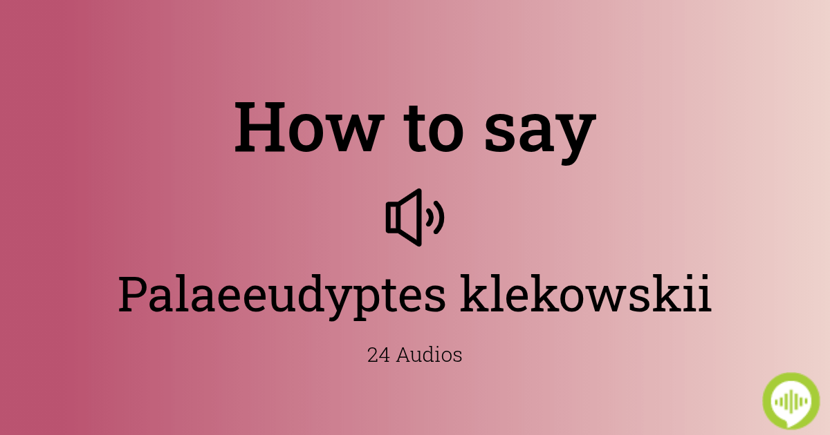 How to pronounce palaeeudyptes klekowskii