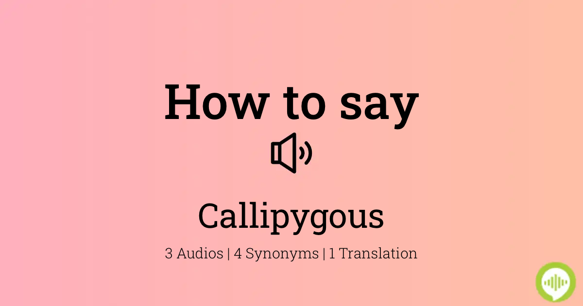 How to pronounce callipygous