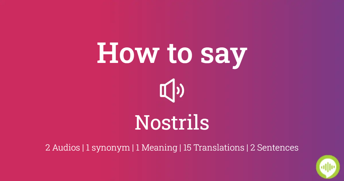 27 How To Pronounce Nostrils
 10/2022
