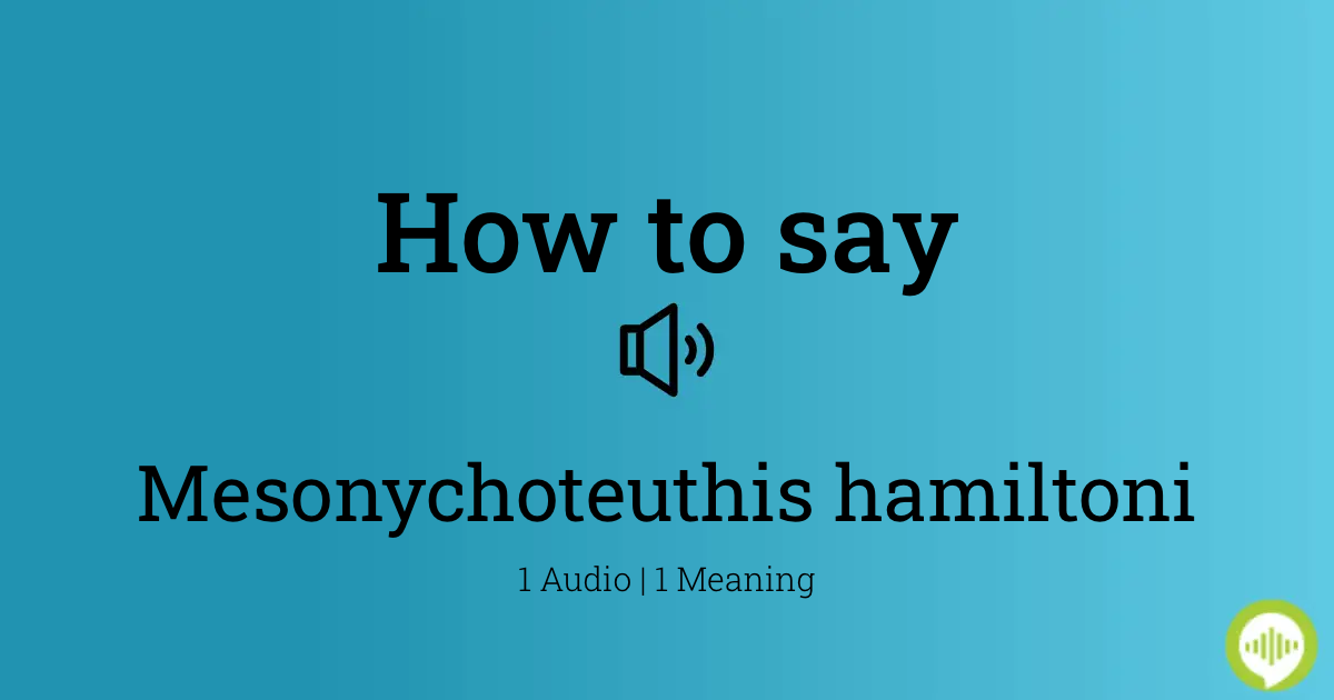 How to pronounce mesonychoteuthis hamiltoni | HowToPronounce.com
