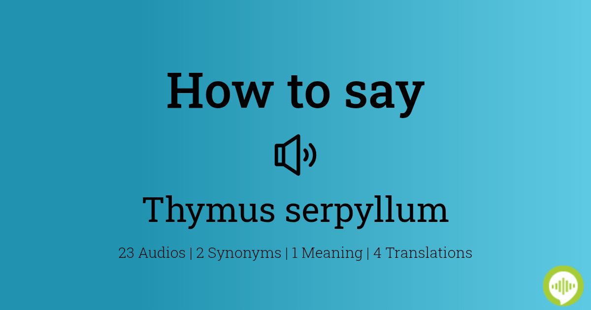 How to pronounce Thymus serpyllum