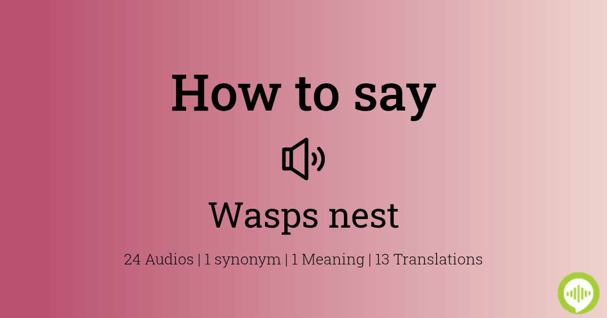 How to pronounce wasps nest