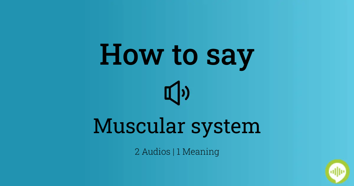 how to pronounce muscular