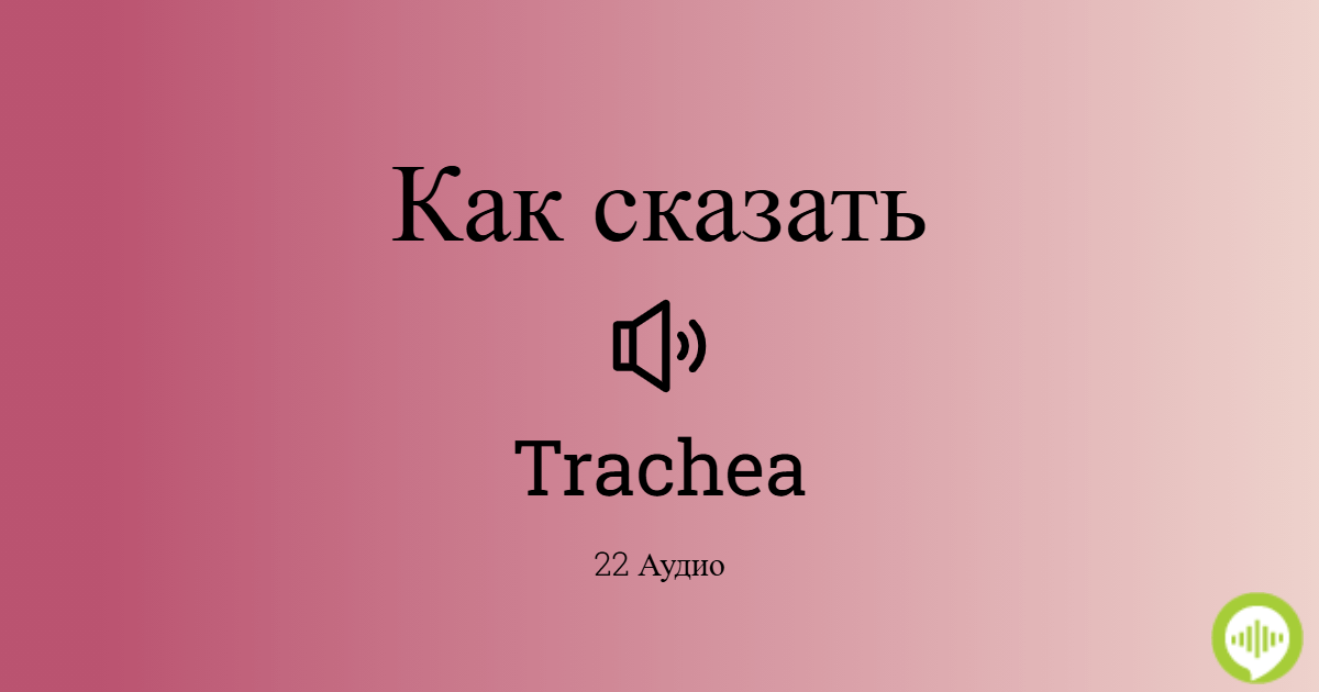 Как произносится Trachea, язык Латинский