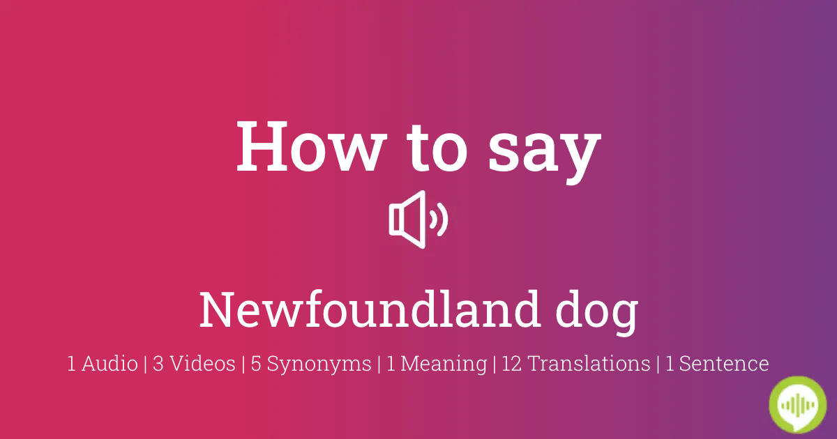 How to pronounce Newfoundland dog | HowToPronounce.com