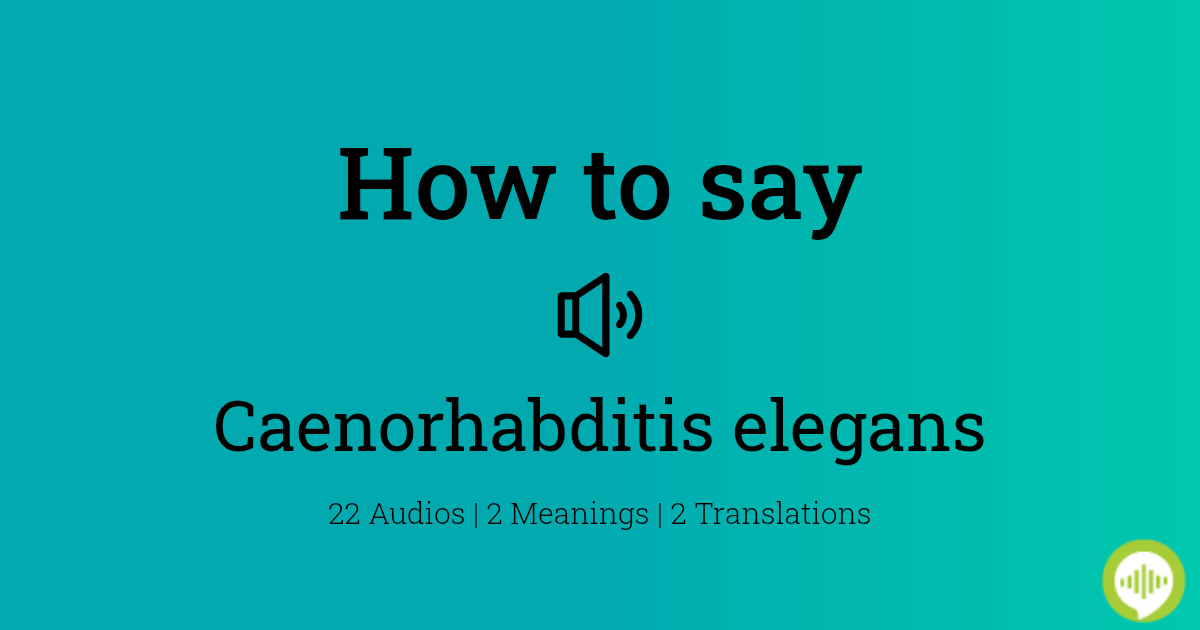 Image Result For How To Pronounce Caenorhabditis Elegans Howtopronounce Com