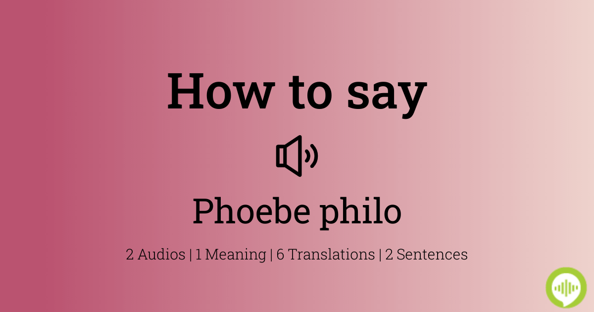 Philo, Phoebe (01/01/1973)