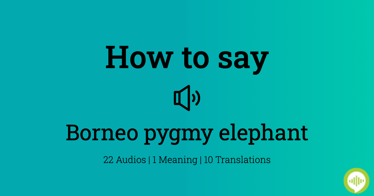 How to pronounce borneo pygmy elephant