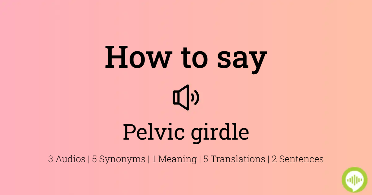 How to pronounce pelvic girdle