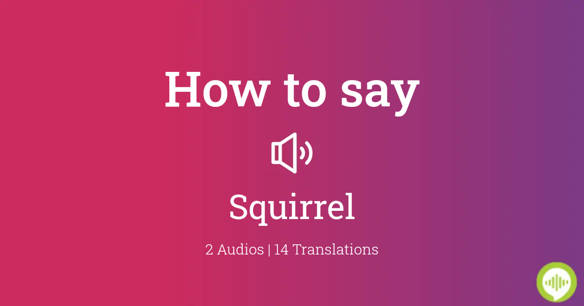 how to say squirrel in spanish
