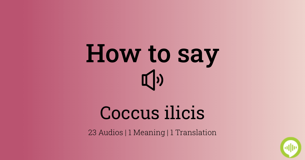 How to pronounce coccus ilicis