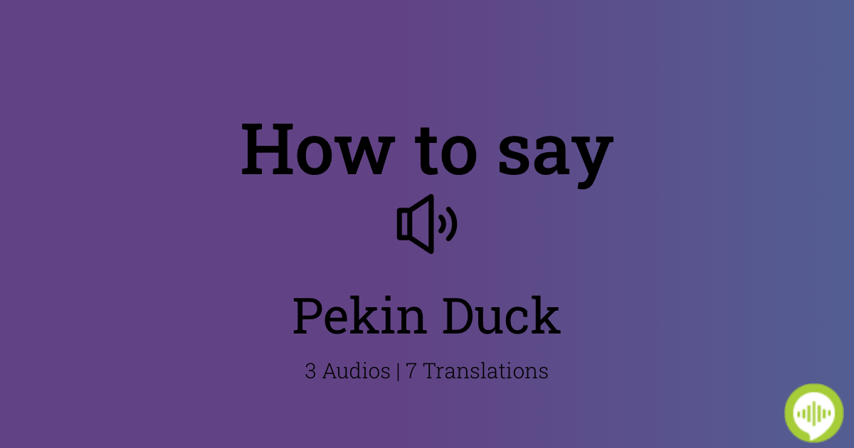 how-to-pronounce-pekin-duck-howtopronounce