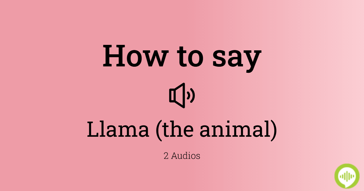 how-to-pronounce-llama-the-animal-in-spanish-howtopronounce