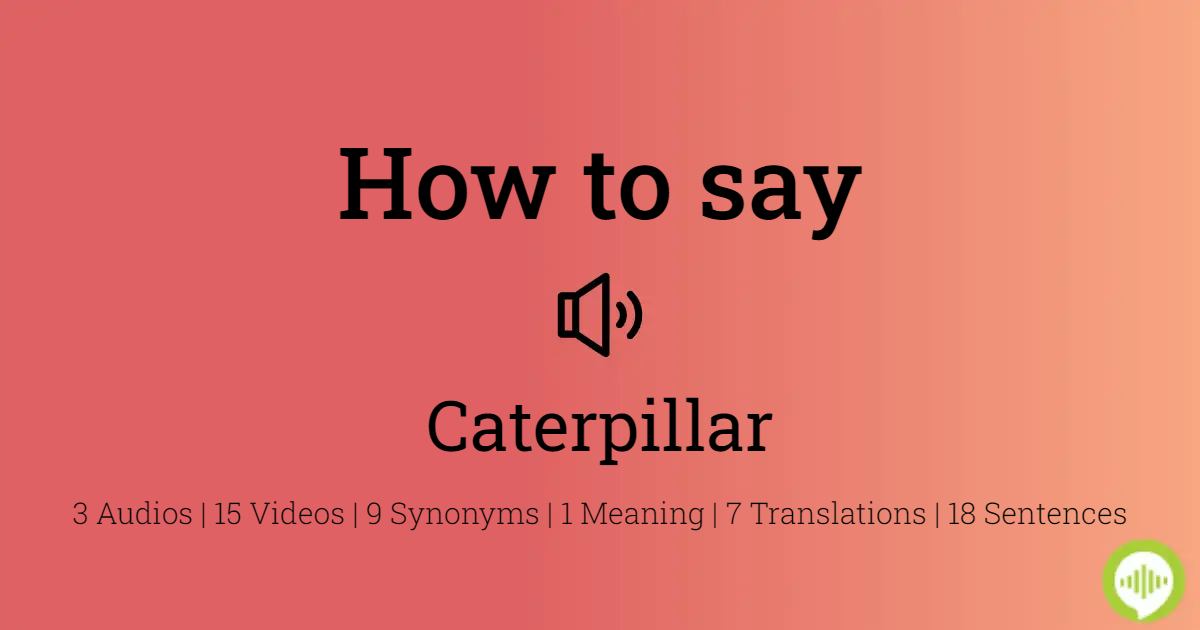 how to spell caterpillar