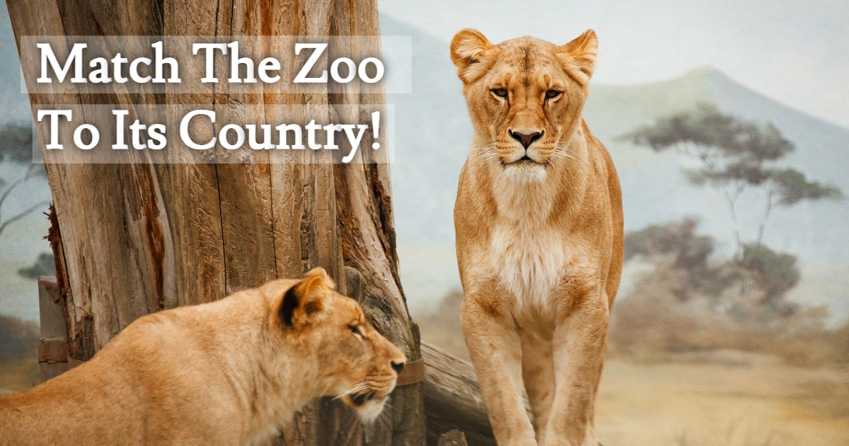 Match The Zoo To Its Country! thumbnail