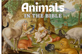 Here's The Quiz about Animals in the The Bible. Do Play This. thumbnail