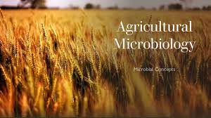 A Quiz On The Agricultural Microbiology thumbnail