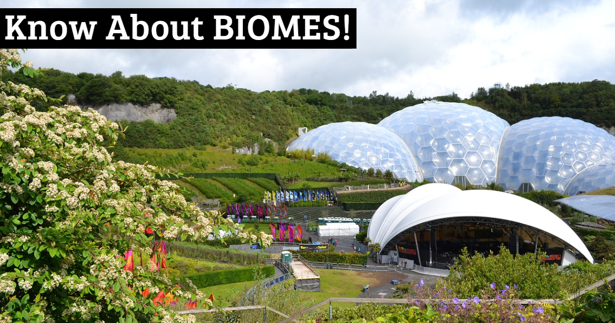 What Do You Know About Biomes? thumbnail