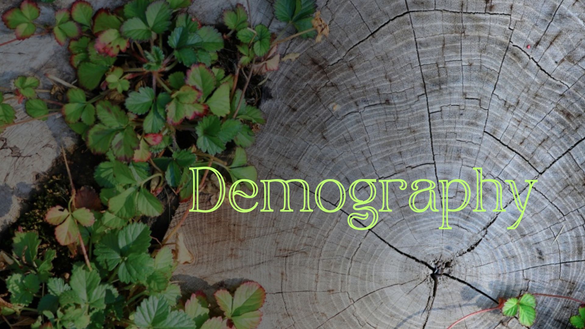 Test Your Knowledge: Uncover the Dynamics of Population and Growth thumbnail