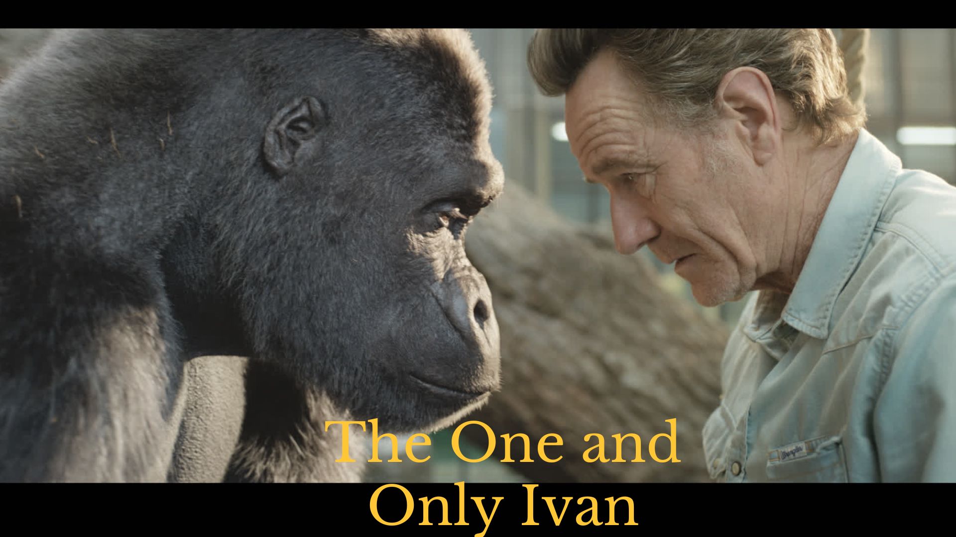 Unleash Your Inner Animal: Test Your Knowledge of The One and Only Ivan! thumbnail