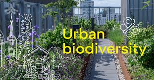 Interesting facts about Urban biodiversity thumbnail