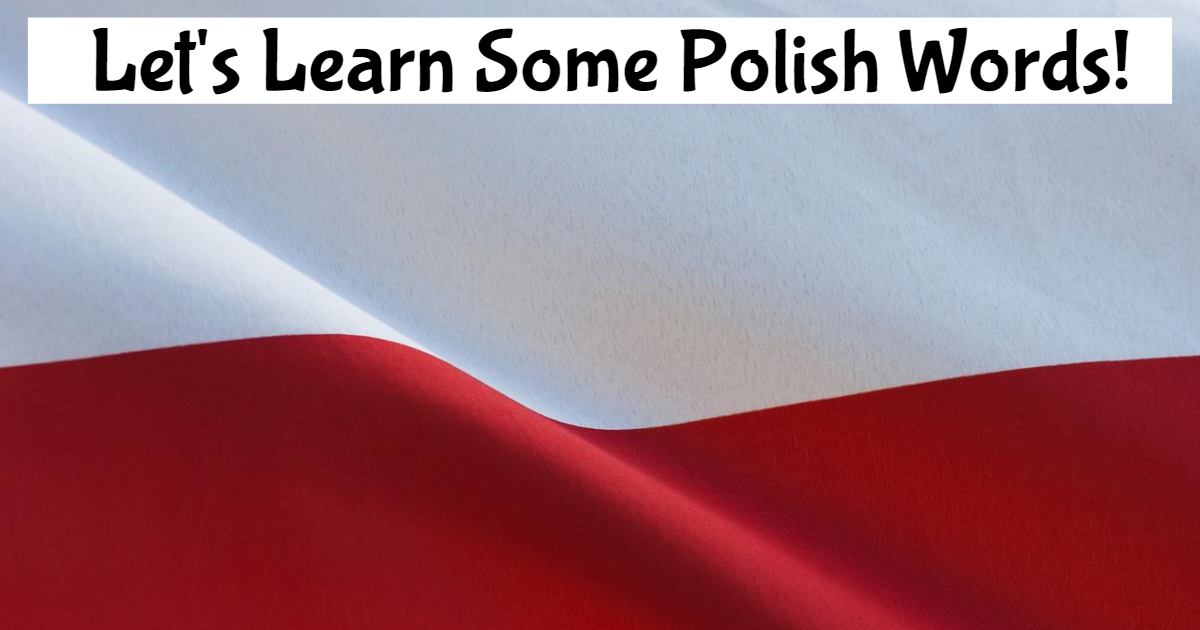 Do You Speak Polish? Take This Quiz! thumbnail