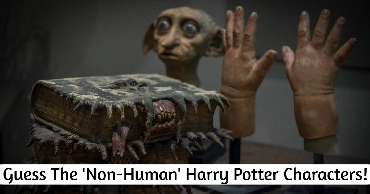 Guess The 'Non-Human' Harry Potter Characters! thumbnail