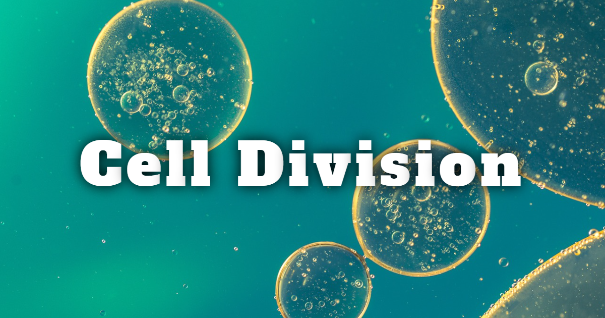 Know About Cell Division! thumbnail