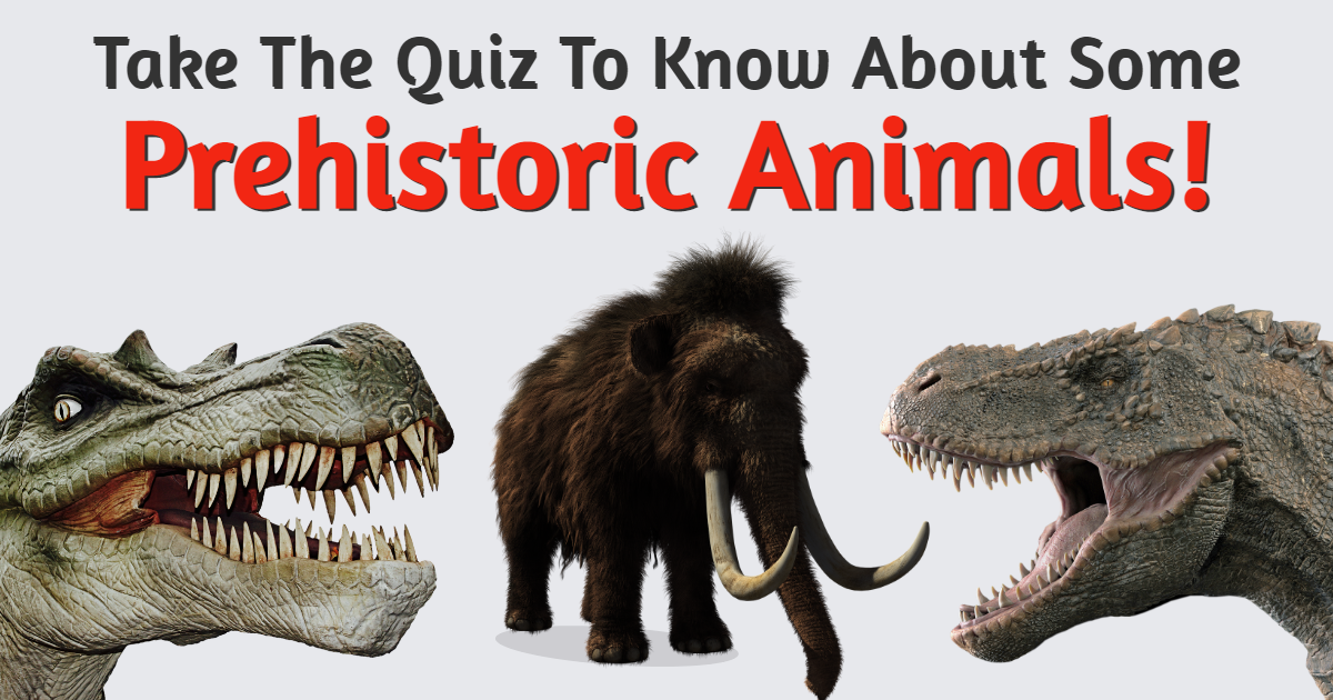 Take The Quiz To Know About Some Prehistoric Animals! thumbnail
