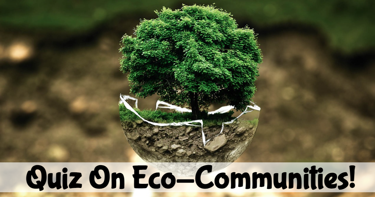 Quiz On Eco Communities! thumbnail
