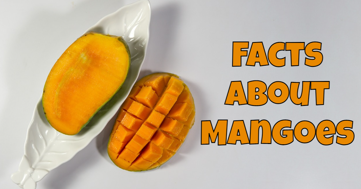 Know These Facts About Mangoes thumbnail