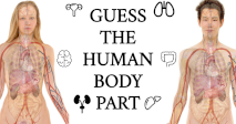 Guess the Human Body Part!