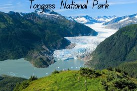 Take an Interesting Quiz On "Tongass National Park" thumbnail